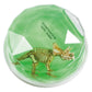 Green Dinosaur Putty with a dinosaur figure