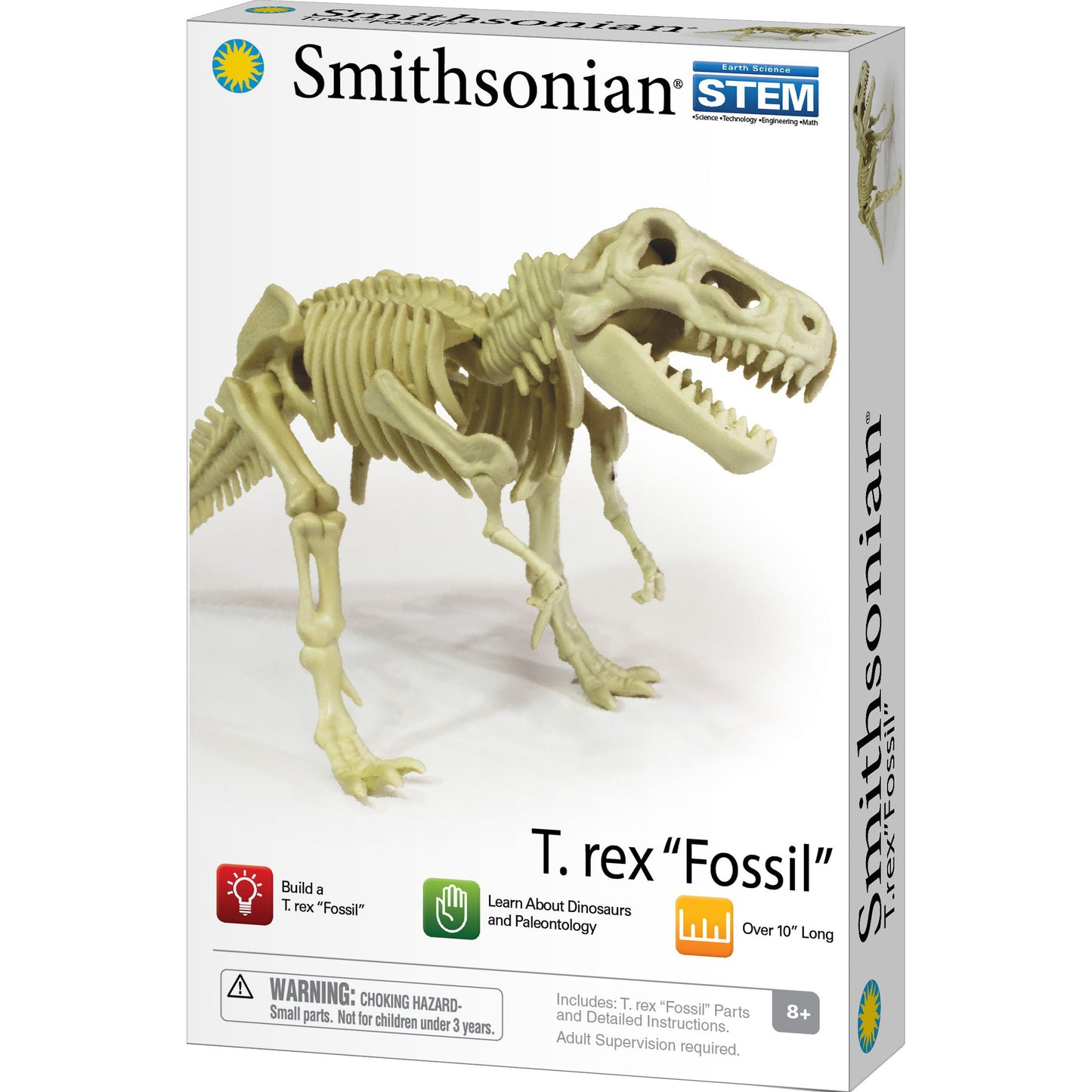 Smithsonian Dinosaur Fossils Trex Value Set