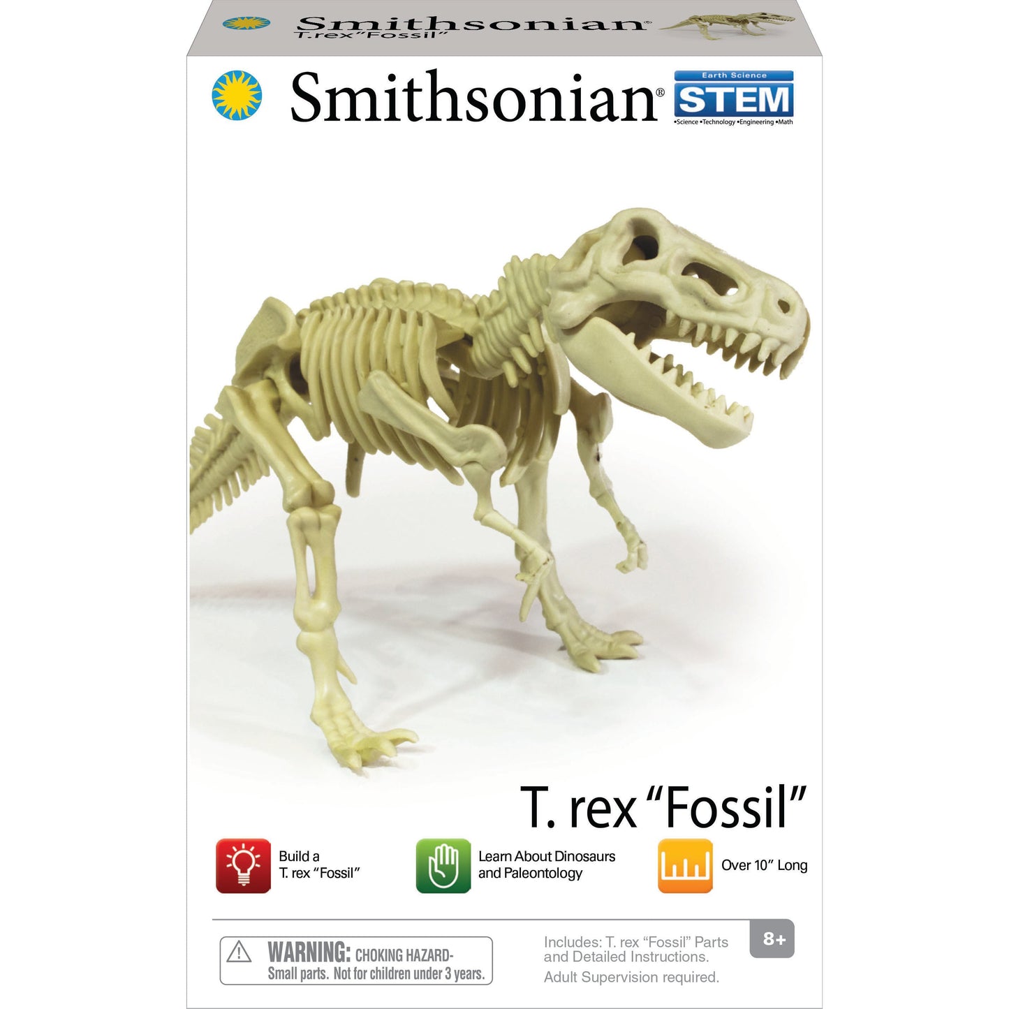 Smithsonian Dinosaur Fossils Trex Value Set