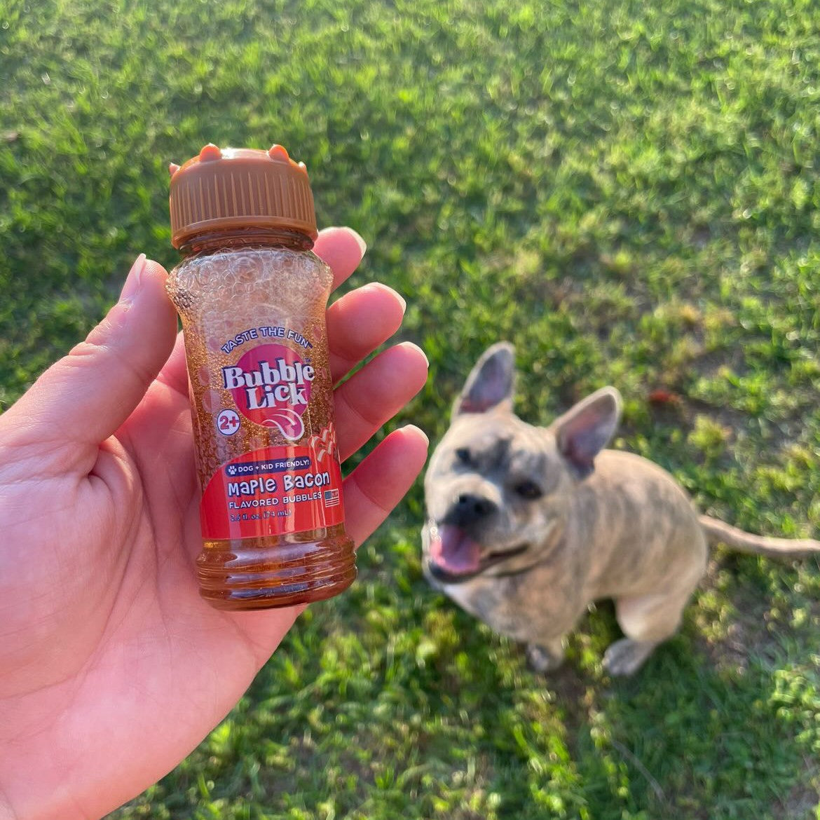 BubbleLick Bubble Treats Maple Bacon Flavored Bubbles for Pets