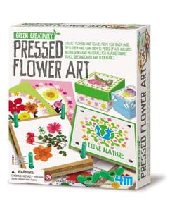 4M-Green Creativity Pressed Flower Art