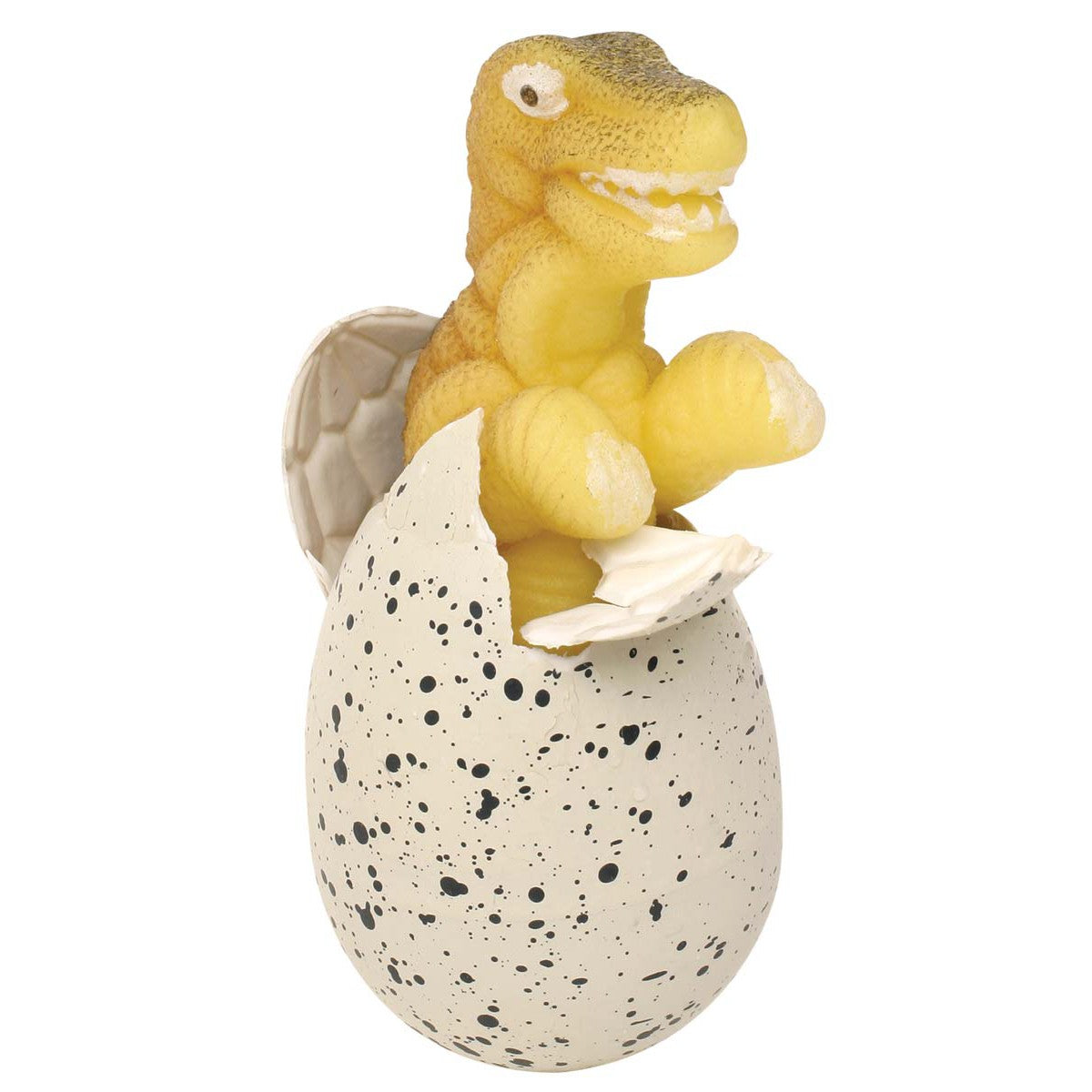 Growing dinosaur sales egg