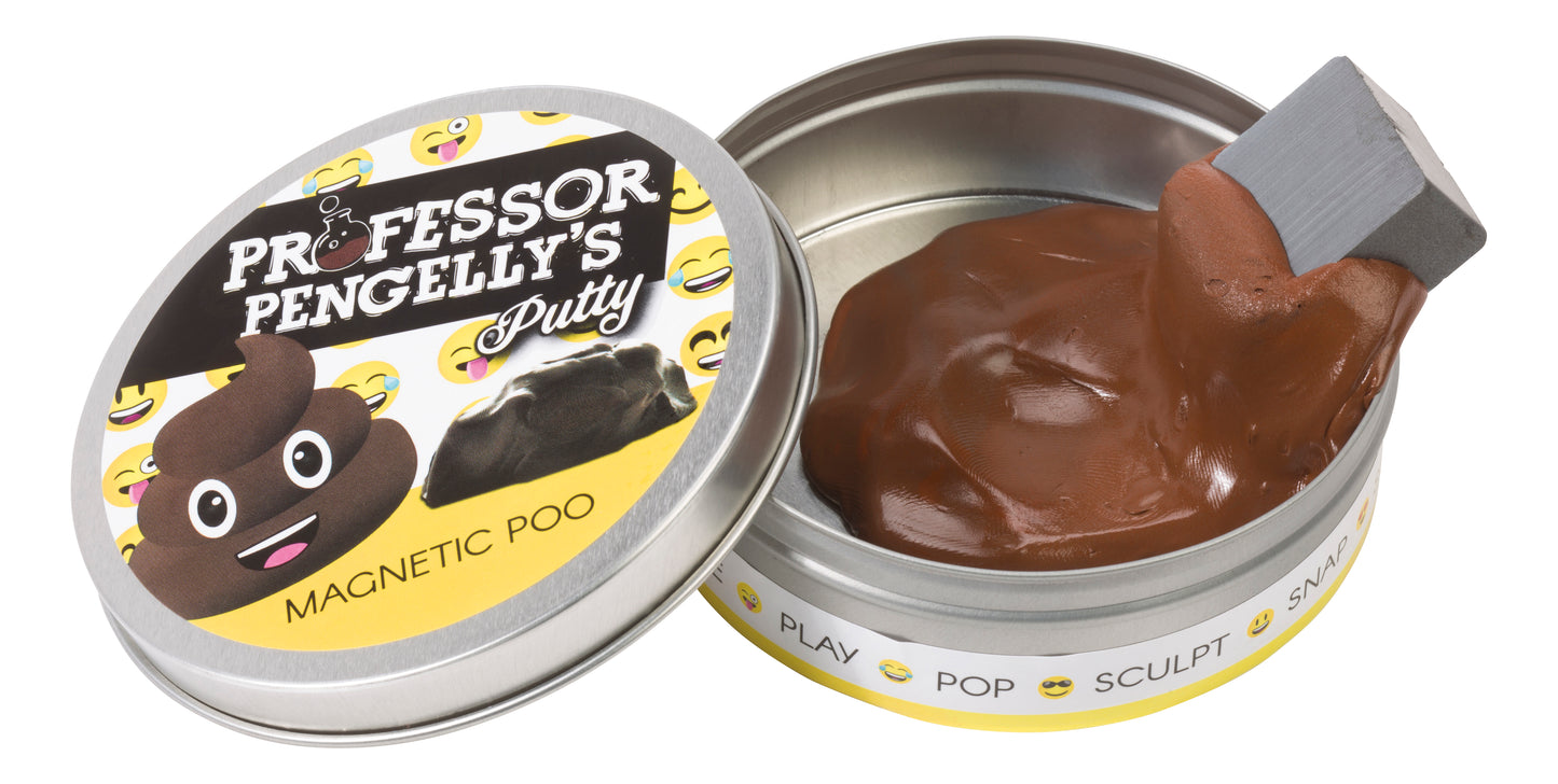 Magnetic Poo Putty